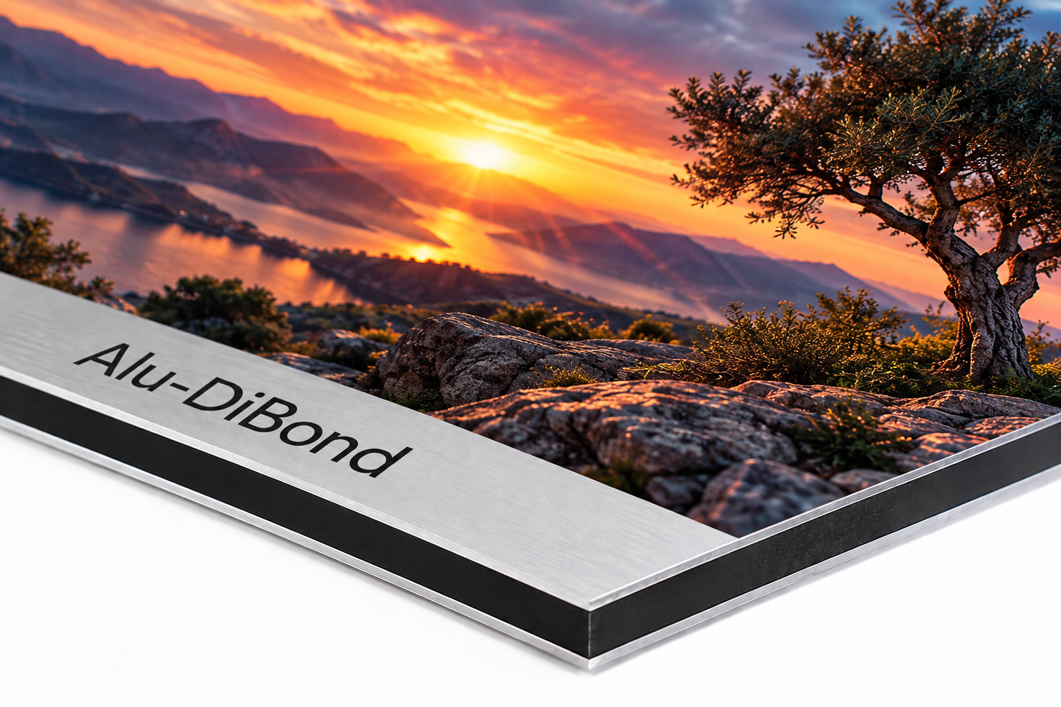 Picture Digital – Alu dibond